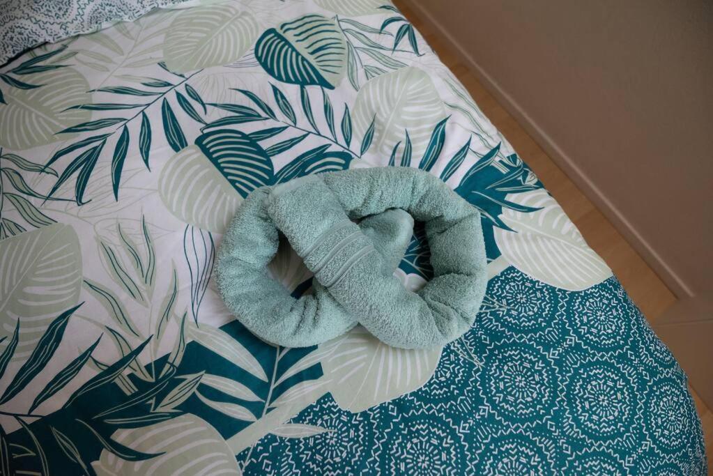Les Lavandieres Appartement Saasenheim